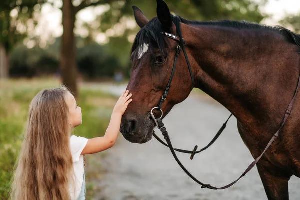senior horse annual checkup
